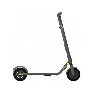 Электросамокат NINEBOT BY SEGWAY KickScooter E25