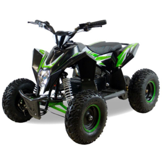 Электроквадроцикл MOTAX GEKKON 1300W